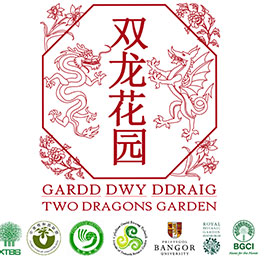 Two Dragons Garden Logo