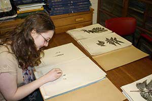 Herbarium