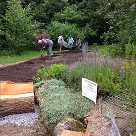 Image of the Butterfly Garden being renovated
